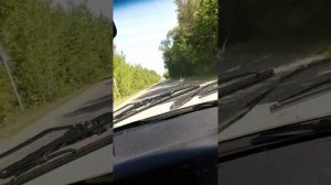 Саратов Жесть