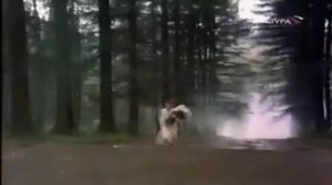 Коренюгин Александр - "Странник"