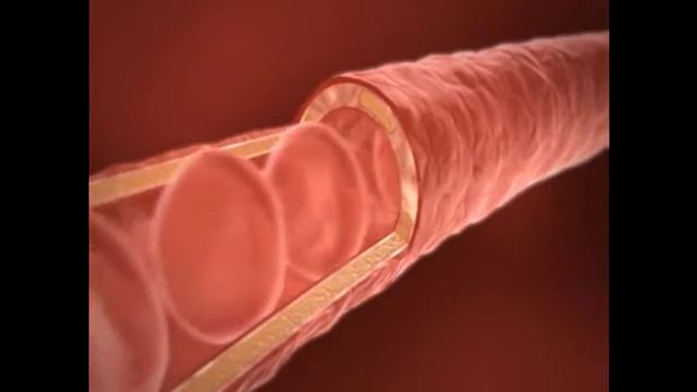 aloe vera New смотреть онлайн