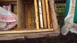 Делаю сборный отводок на маточник