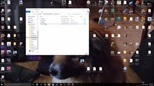 How to fix Rome Total War and Alexzander Total War After Windows 10