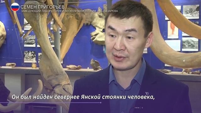 Ученые показали копье, извлеченное из скелета мамонта