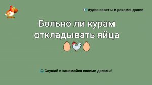 Больно ли курам откладывать яйца ⁉️ ????