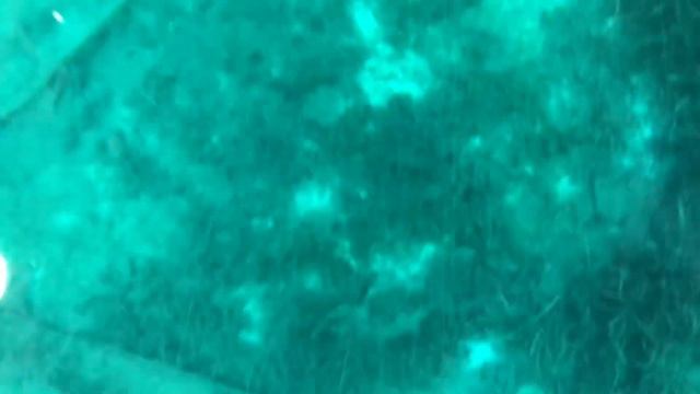 Лучший государственный парк Америки смотреть онлайн