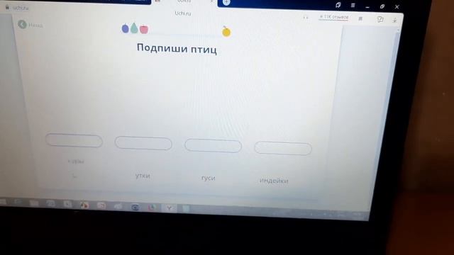 Учи.ру Проблемы с заданиями по картинкам. 4 класс смотреть онлайн