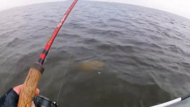 ОГРОМНЫЕ СУДАКИ ПОПАЛИ НА ВИДЕО Ч.1 смотреть онлайн