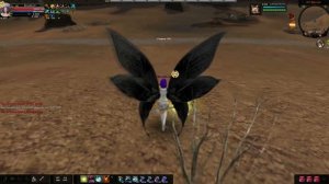 ПИРАТСКИЙ КАРОС. ПК МАГ. ОБЗОР МОЕГО МАГА