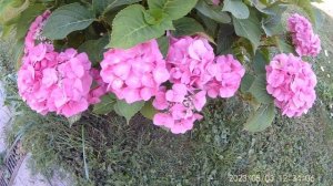 Старо-Голутвин монастырь