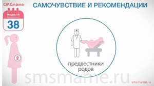 38 неделя беременности - скоро роды, резус-фактор родителей и ребенка.