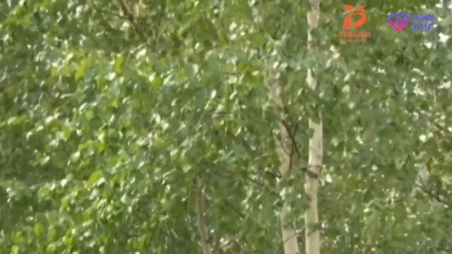 Кировскай нэһилиэгэ самаан сайыны уруйдуур 21.06.2020 с.mp4