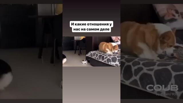 Как я представляла жизнь с мужем после рождения ребёнка! смотреть онлайн