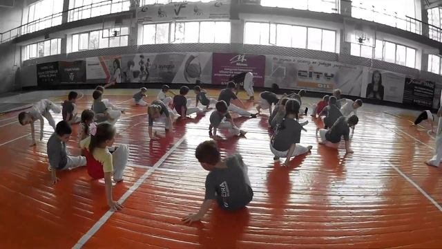 Что такое капоэйра?