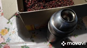 как заваривать ШИПОВНИК