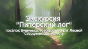 Проект "Интересное рядом". Видеоэкскурсия "Питерский Лог"