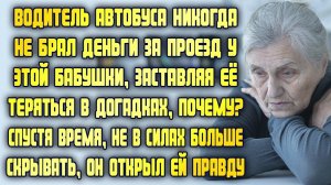 Водитель автобуса никогда не брал деньги за проезд у этой бабушки. Спустя время она узнала правду