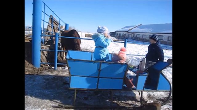 Мы в гостях у коняшек. В деревне Агапино смотреть онлайн