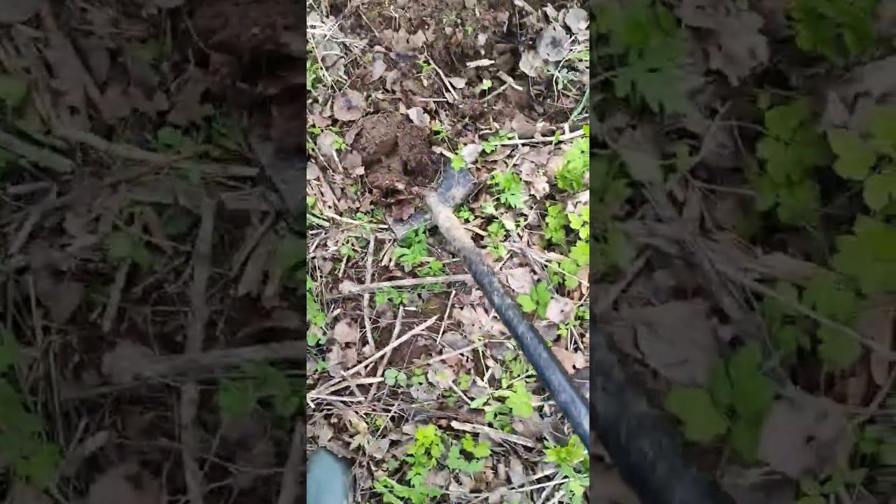 quest X10 id maxx и супруга смотреть онлайн