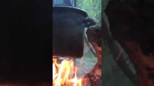 УХА на КОСТРЕ в ТАЙГЕ за 1 МИНУТУ ...... РЫБАЛКА .... ДЕВСТВЕННАЯ ТАЙГА ....... ОХОТА .... СИБИРЬ . смотреть онлайн