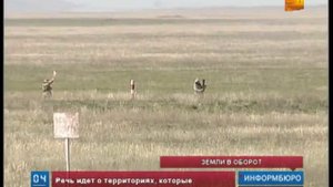 Казахстан возвращает часть земель, отданных в аренду РФ под полигоны