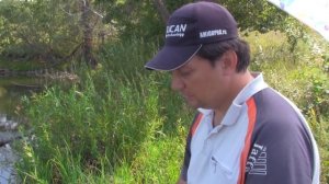 Фидер на стоячем водоеме