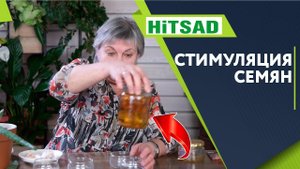 Народные методы стимуляции семян ✔️ Натуральные стимуляторы для семян хитсад тв