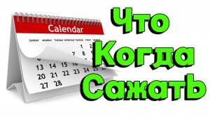 Что и когда сажать