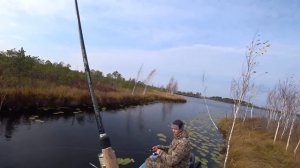 Шикарная рыбалка на диком озере, среди Васюганских болот..