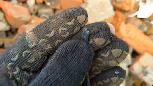 МЕДЬ. ЛАТУНЬ. АЛЮМИНИЙ. ПОХОД НА СВАЛКУ. ПОИСК МЕТАЛЛОЛОМА БЕЗ МЕТАЛЛОИСКАТЕЛЯ. ЦВЕТНОЙ МЕТАЛЛ