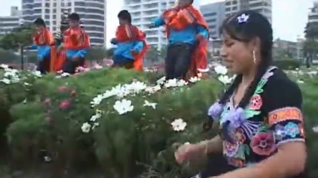 July La Cariñosita - El celular _ HD ES MARCA CUZCO смотреть онлайн