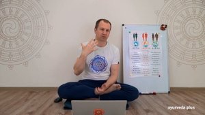 Аюрведа и йога. Практика для каждой доши. Вячеслав Бывальцев