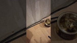 Пайка скрутки сантехническим паяльником! ?