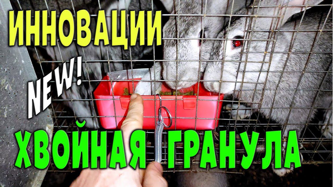 Инновационная добавка для кроликов / Кормление хвойной обогащенной гранулой