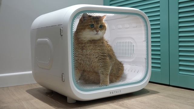 New Pet Dryer for Hosico - PETKIT AirSalon Max смотреть онлайн