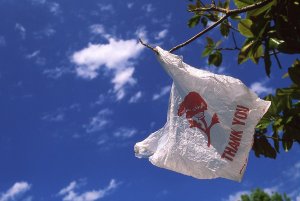 ПВД. Полиэтиленовый пакет-майка. Способы применения в походе.Plastic bag. Methods in the campaign.