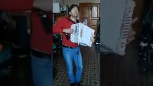 Иванов Виктор на гармони с миди системой Littau