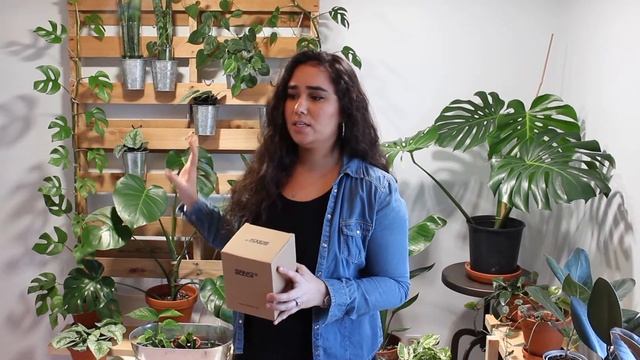 AMAZON Grow Light REVIEW: Sansi vs SunBlaster Plant LED Grow Lights