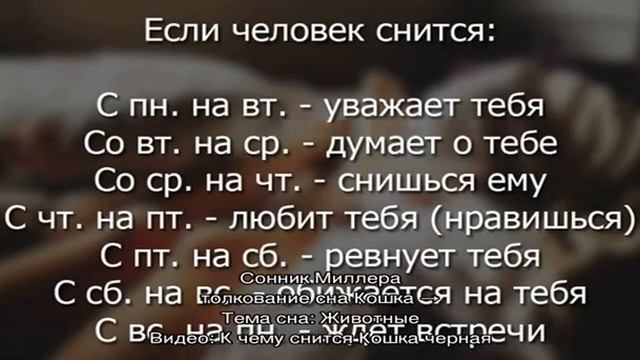«Сонник Кошка черная приснилась, к чему снится во сне Кошка черная» смотреть онлайн