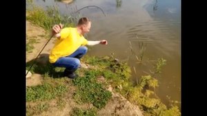 (ловля карпа на платнике)