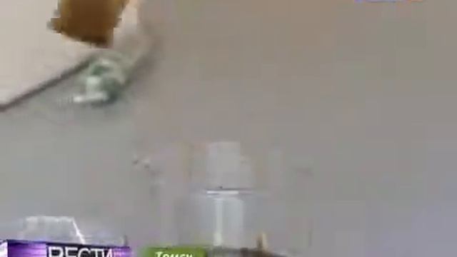 ВЕСТИ.ru Антиржавин смотреть онлайн