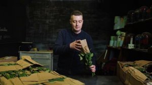 Роза • сорт Madam Red, 40 см • Плантация Everflora • Кения