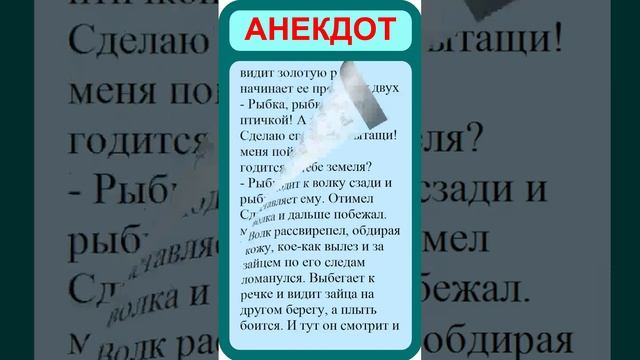 Лучшие анекдоты. Смешные анекдоты. Веселые анекдоты.