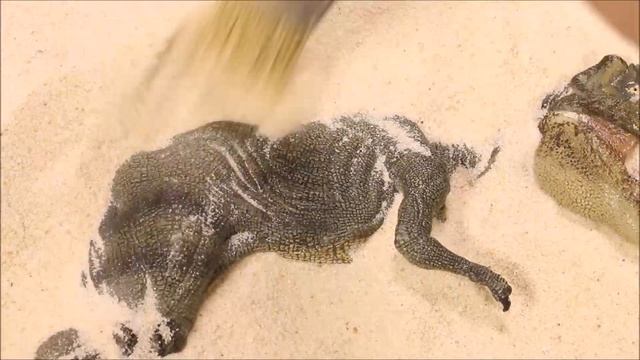 New Dinosaur Surprise Toys Buried in Sand Cyborg King Kong Dinosaur Toy Jurassic Park Dino Unboxin смотреть онлайн