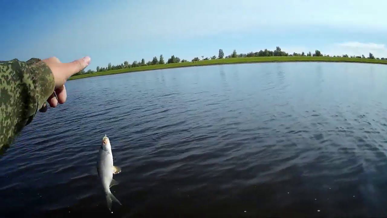 Разловил свою новую удочку mifine 4м. Жаль по спиннингу глухо в этот раз на Тавде. #NIK_72 смотреть онлайн