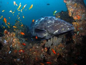 Самые красивые места Мозамбика. Короткий видеообзор. Достопримечательности Мозамбика. Слайд-Шоу.