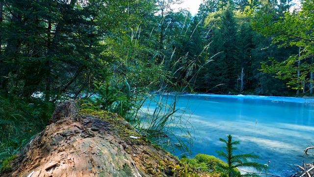 Calming Turquoise River in the Forest Relaxing Sounds. (10 hours) Nature White Noise. смотреть онлайн