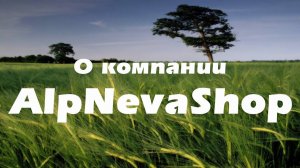 О компании "AlpNevaShop"