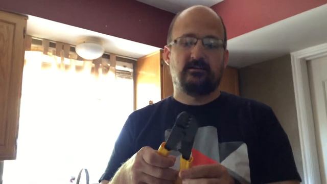 How to Plant Lotus Seeds the #geekgreens Way! смотреть онлайн