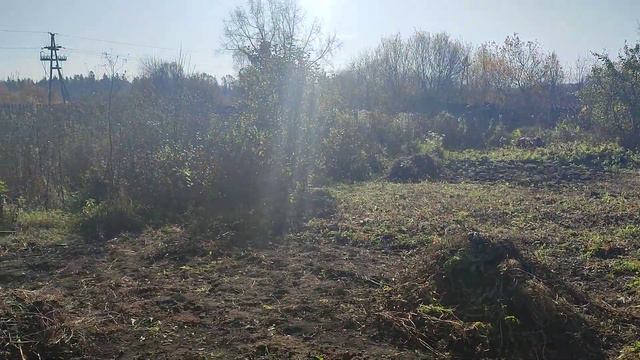 Продам сад огород - кассой переезд .2023-2024 от 500.000 рублей. смотреть онлайн