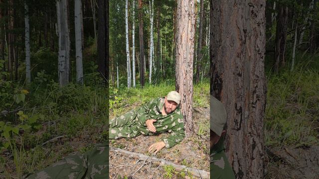 Лучше спать возле муравейника.