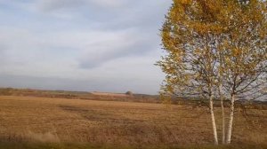 Деревенские пейзажи средней полосы России